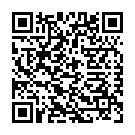 To view this 2013 Chevrolet Captiva Sport Fleet Bradenton FL from Auto Dealer Solutions, please scan this QR code with your smartphone or tablet to view the mobile version of this page.